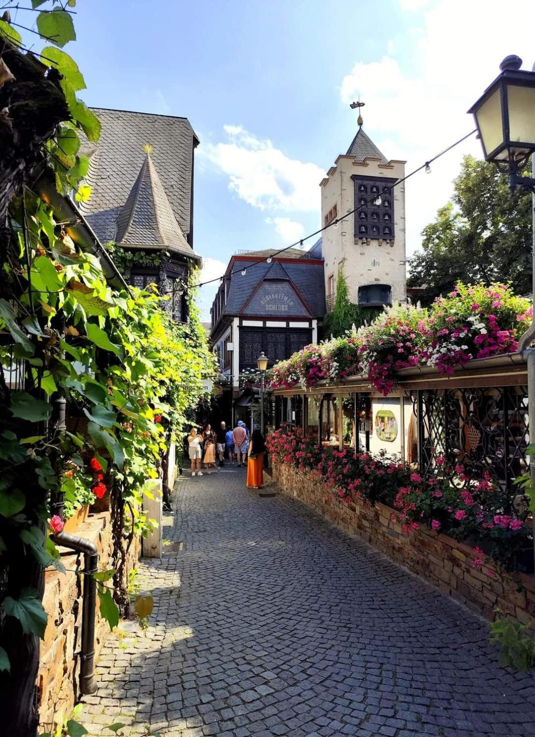 Hotel Ruedesheimer Hof Ruedesheim am Rhein Exterior photo